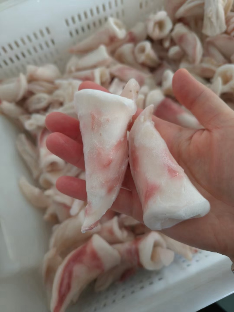 高品质喇叭花纯干好货品质如图全国发售