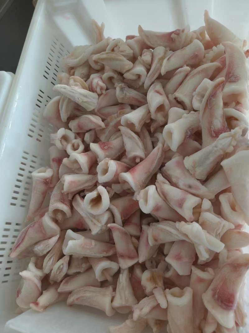 高品质喇叭花纯干好货品质如图全国发售