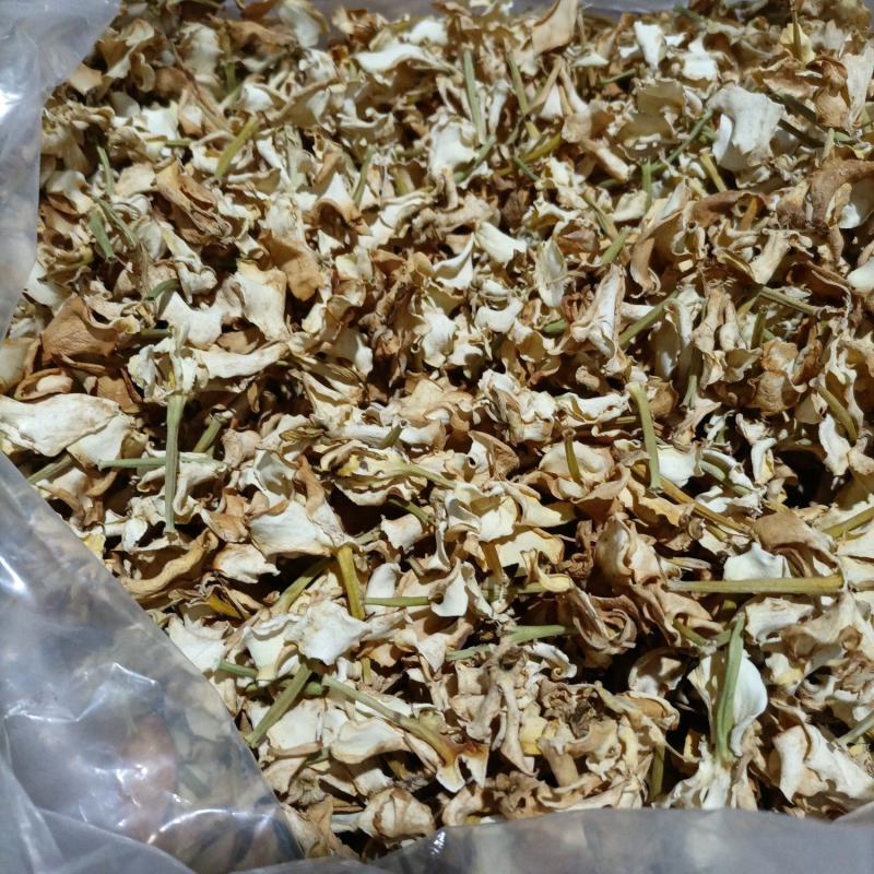 栀子花干