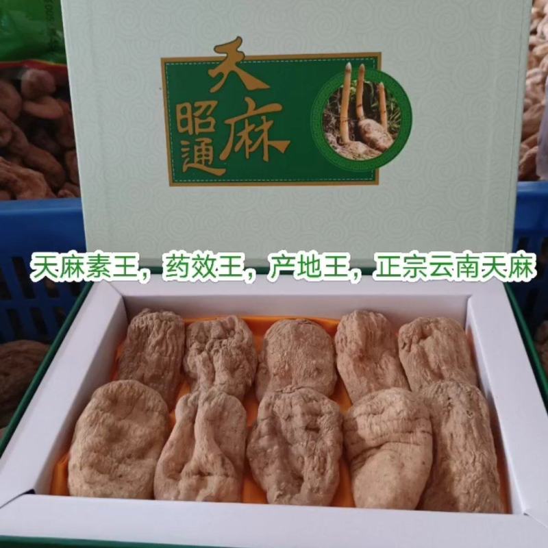 世界天麻原产地小草坝干天麻，无硫，本色，本味，***。