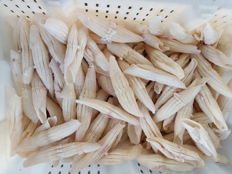 去皮火箭鱿鱼品质保证口感新鲜全国发售