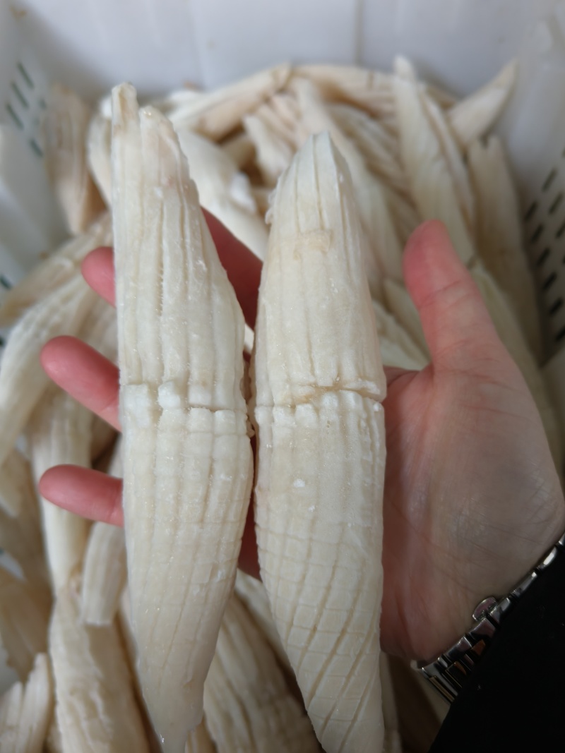 去皮火箭鱿鱼品质保证口感新鲜全国发售