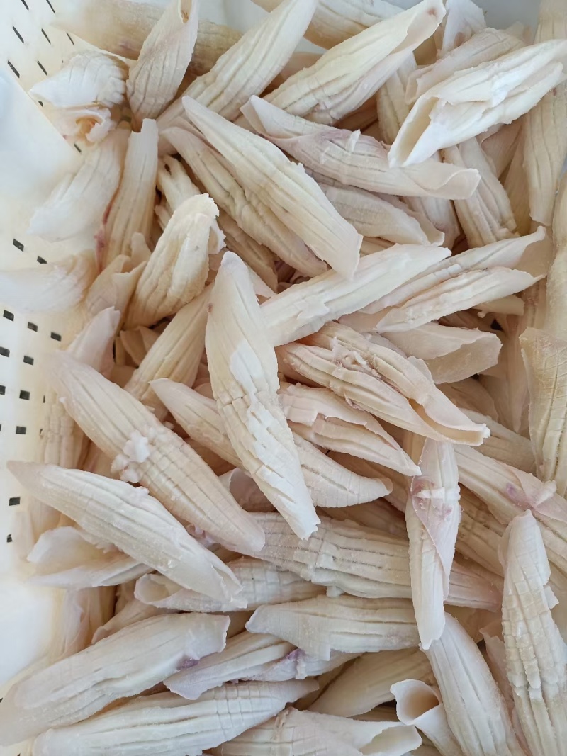 去皮火箭鱿鱼品质保证口感新鲜全国发售