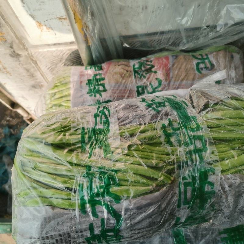 大量云南豆角，豆王，白豆。质量优质/一手货源