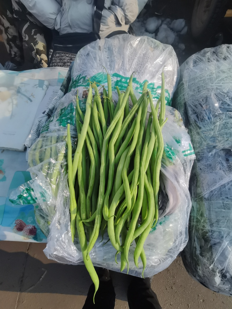 大量云南豆角，豆王，白豆。质量优质/一手货源
