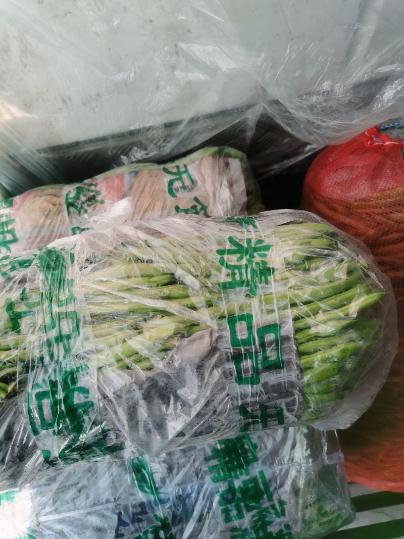 大量云南豆角，豆王，白豆。质量优质/一手货源
