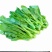 安徽菜苔菜心大量上市,产地直供品质高,对接各级客商