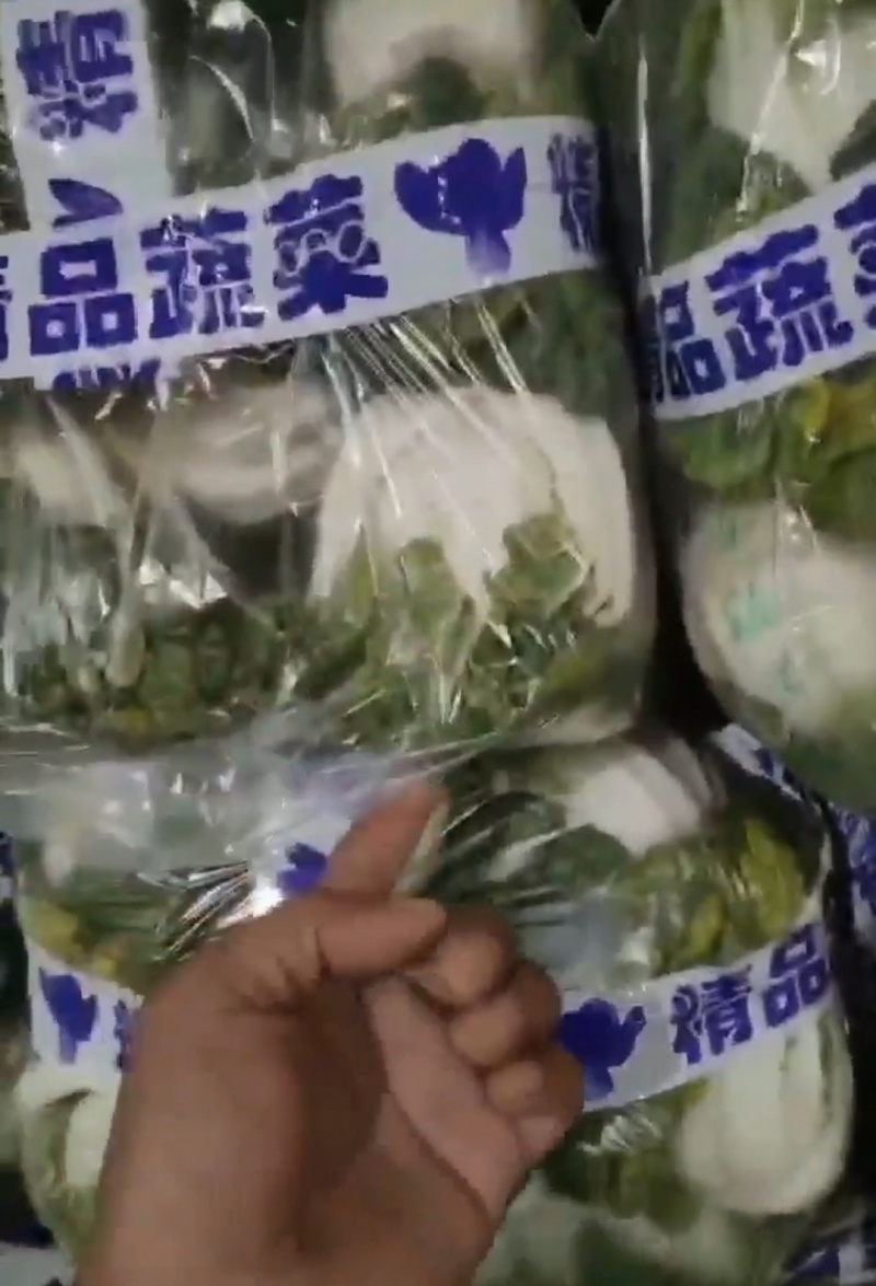 【优质】安徽精品黄心菜，大量供货，可对接各级客商，质量保证