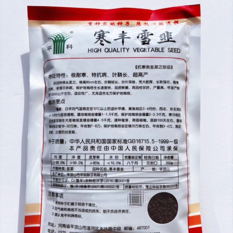 汉中雪韭不休眠韭菜种子耐寒品种