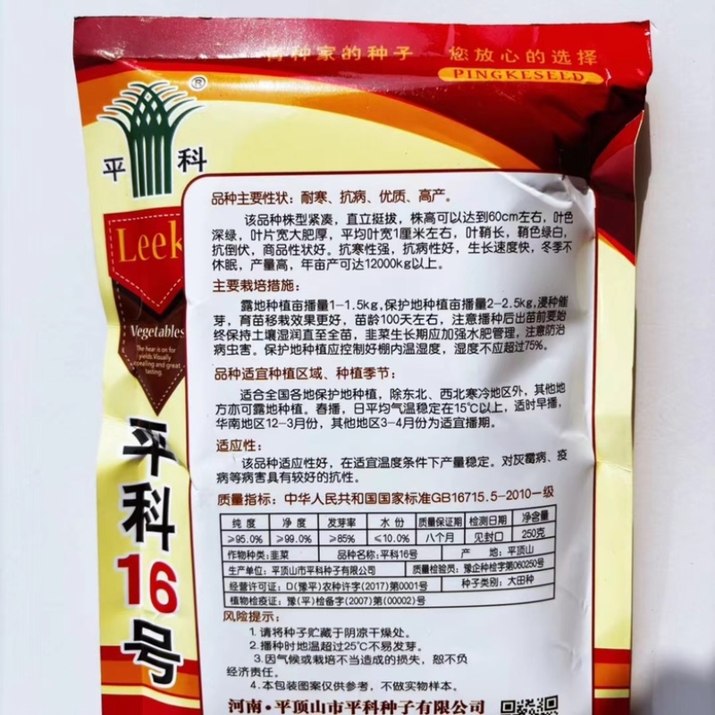 汉中雪韭不休眠韭菜种子耐寒品种