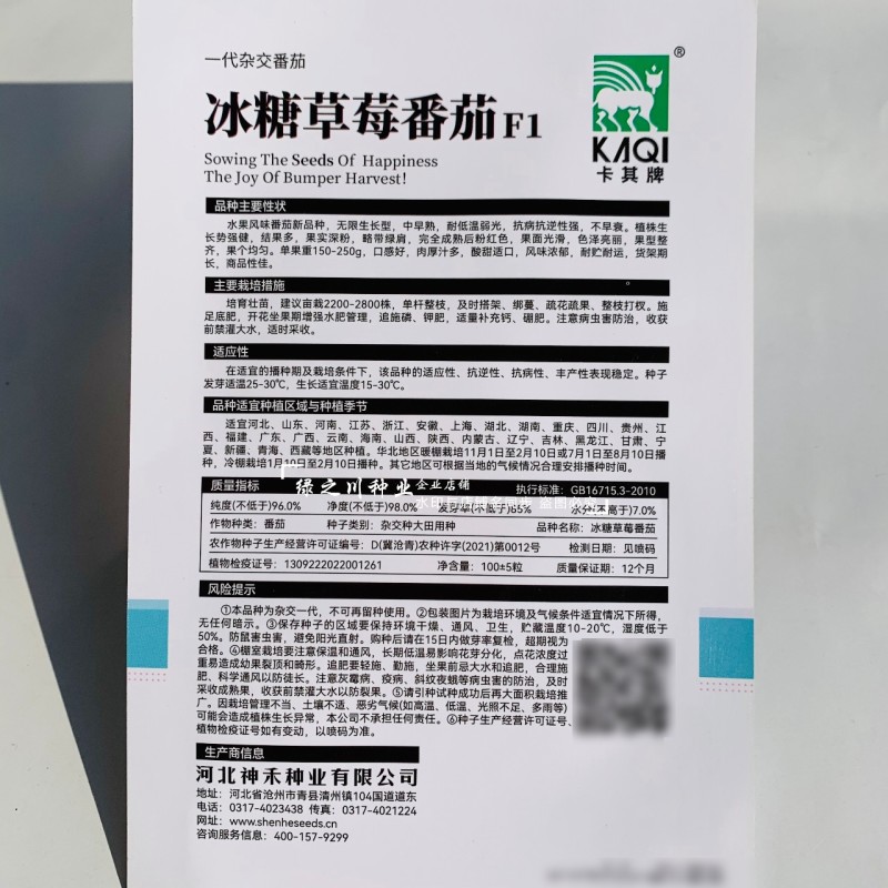 冰糖草莓番茄种子水果番茄种子酸甜适口肉厚汁多绿肩西红柿种