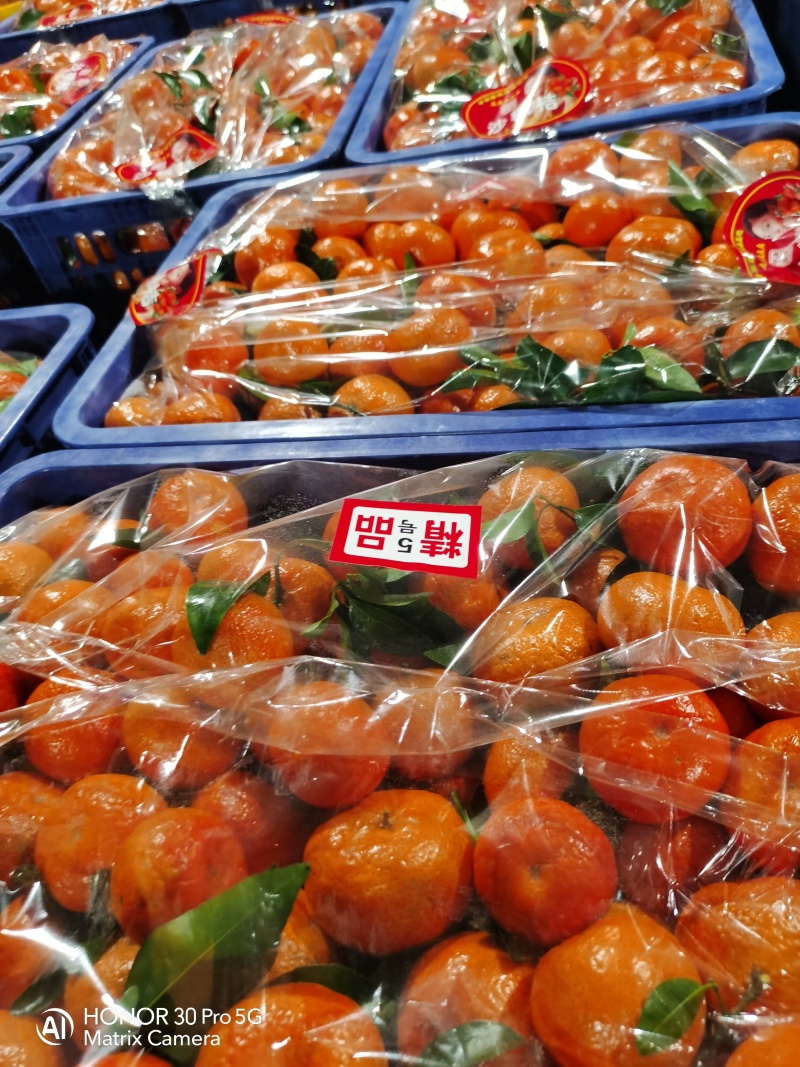 广西桂林荔浦精品砂糖橘大量上市口感纯甜一手货源