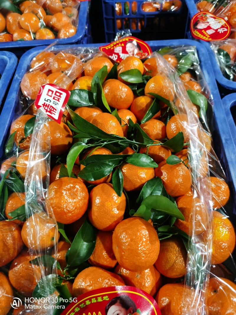 广西桂林荔浦精品砂糖橘大量上市口感纯甜一手货源
