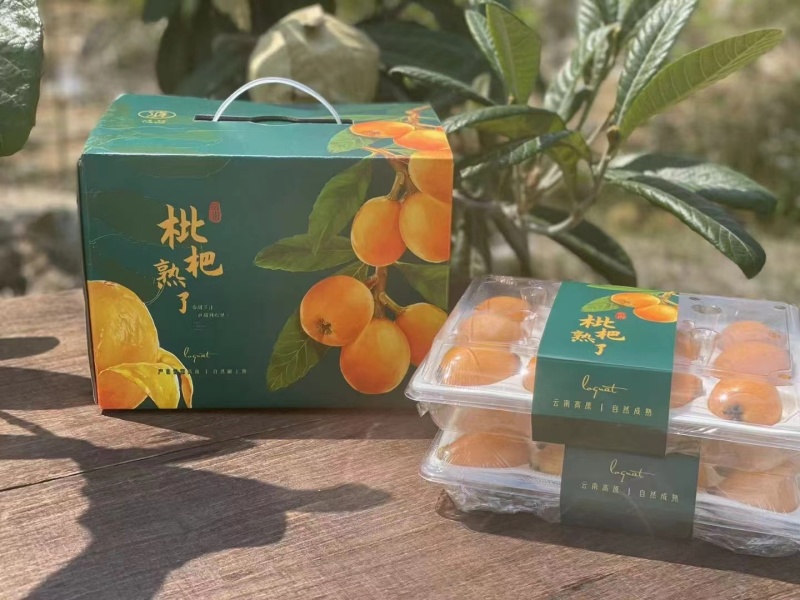 云南枇杷