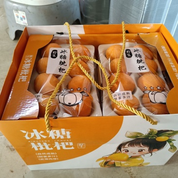 云南枇杷