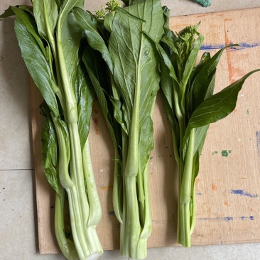连州菜心一级品