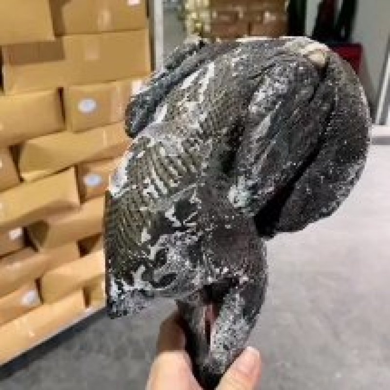 乌鸡，今天是1月3号乌鸡白条大量供应，适合电商市场均可