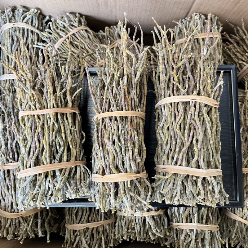 铁皮石斛芽条【大货批发】全化渣胶质好云南基地供应价格优势