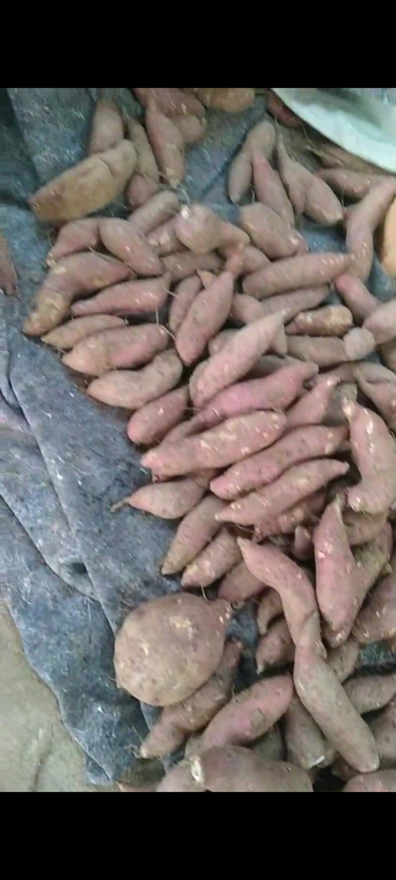 西瓜红