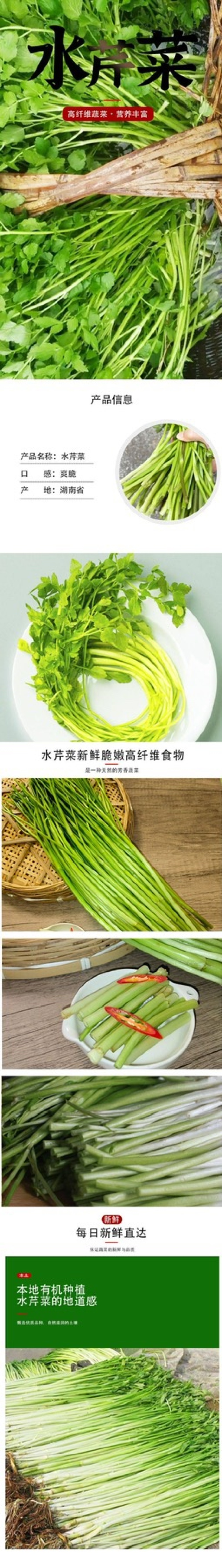 水芹菜