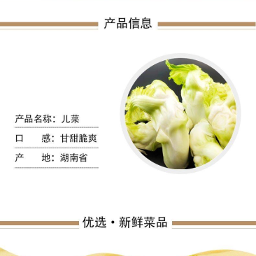 儿菜