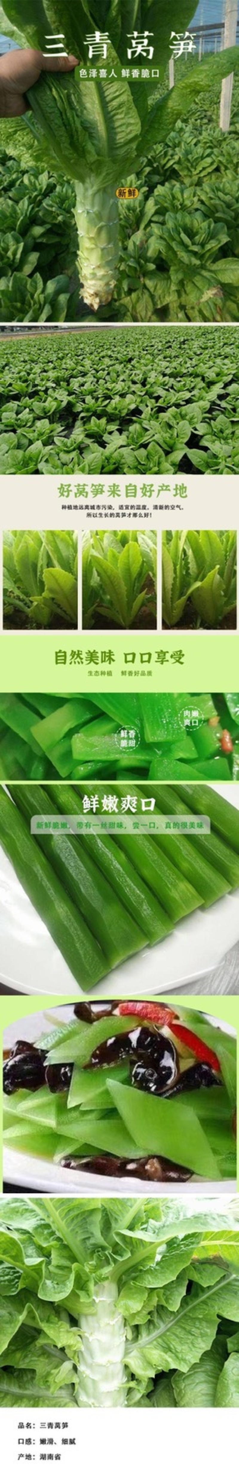 三青莴笋