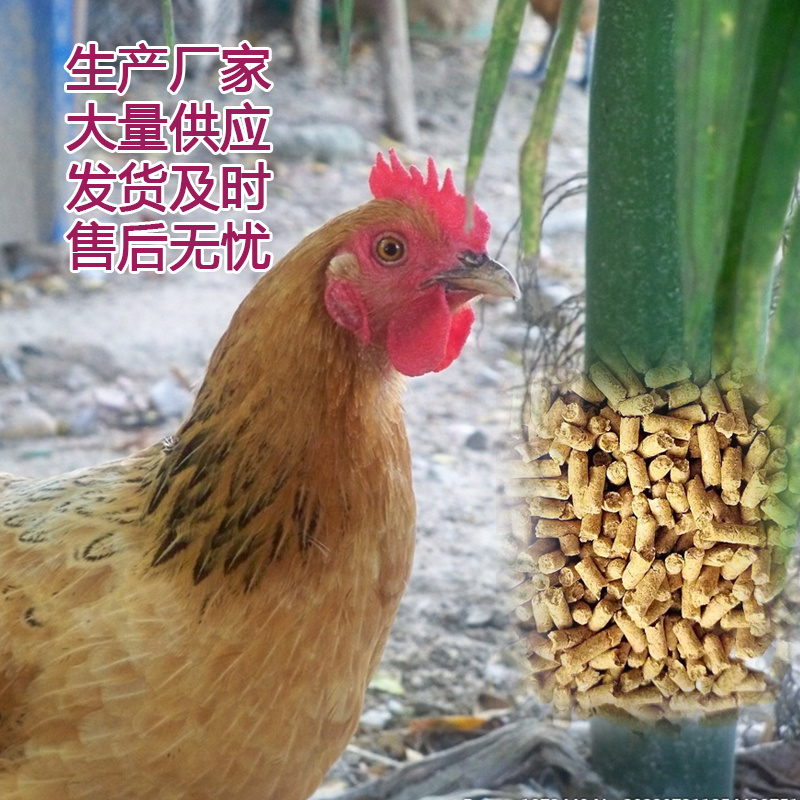 湖南肉鸡全价配合饲料催肥快鸡皮鸡油黄80斤一包