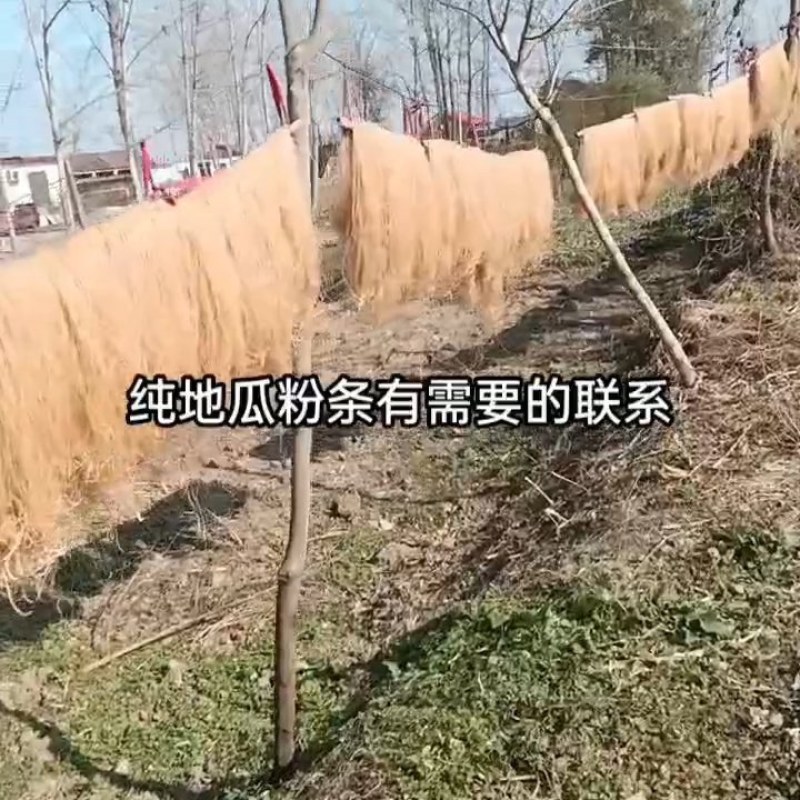 纯地瓜粉条