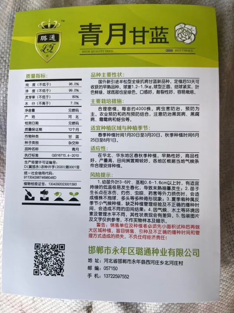 青月松软甘蓝上下一致绿抗病高产春秋季露地品种