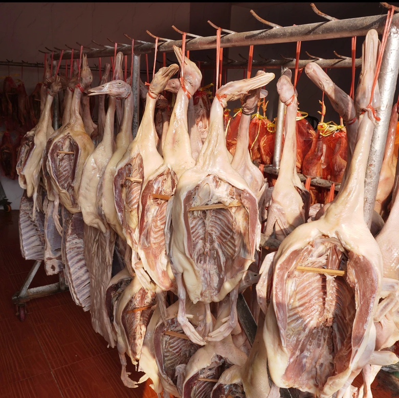 鹅肉炖萝卜成品图,汤汁浓郁,萝卜软糯,鹅肉酥烂 鹅肉炖萝卜成品图