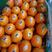 精品秭归脐橙纽荷尔，长虹，九月红，电商市场大量供应。