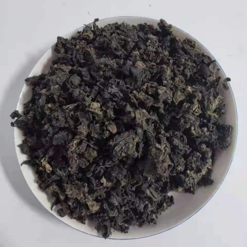 地皮菜河南南阳地皮菜特色菜量大价优批发供应