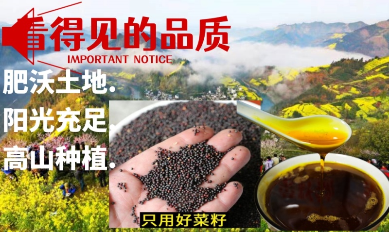 黄山徽金源菜籽油供应全国600城货源稳定诚信经营
