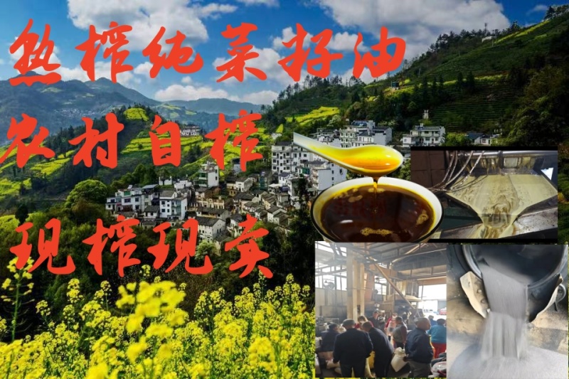 黄山徽金源菜籽油供应全国600城货源稳定诚信经营