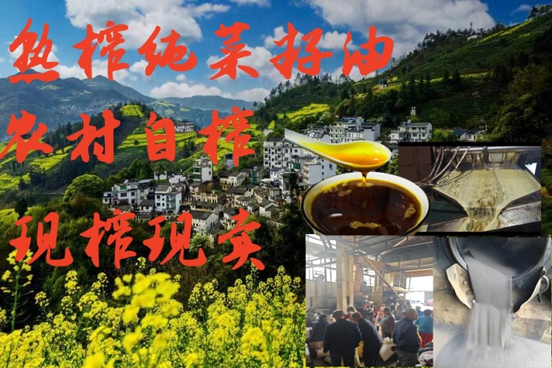 黄山徽金源压榨菜籽油大量批发供应全国量大从优