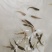 虹鳟鱼苗又名淡水三文鱼适应水温0-28度可观赏可食用