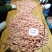 90120+纯头子/无黑头花头冰虾还有200箱左右清