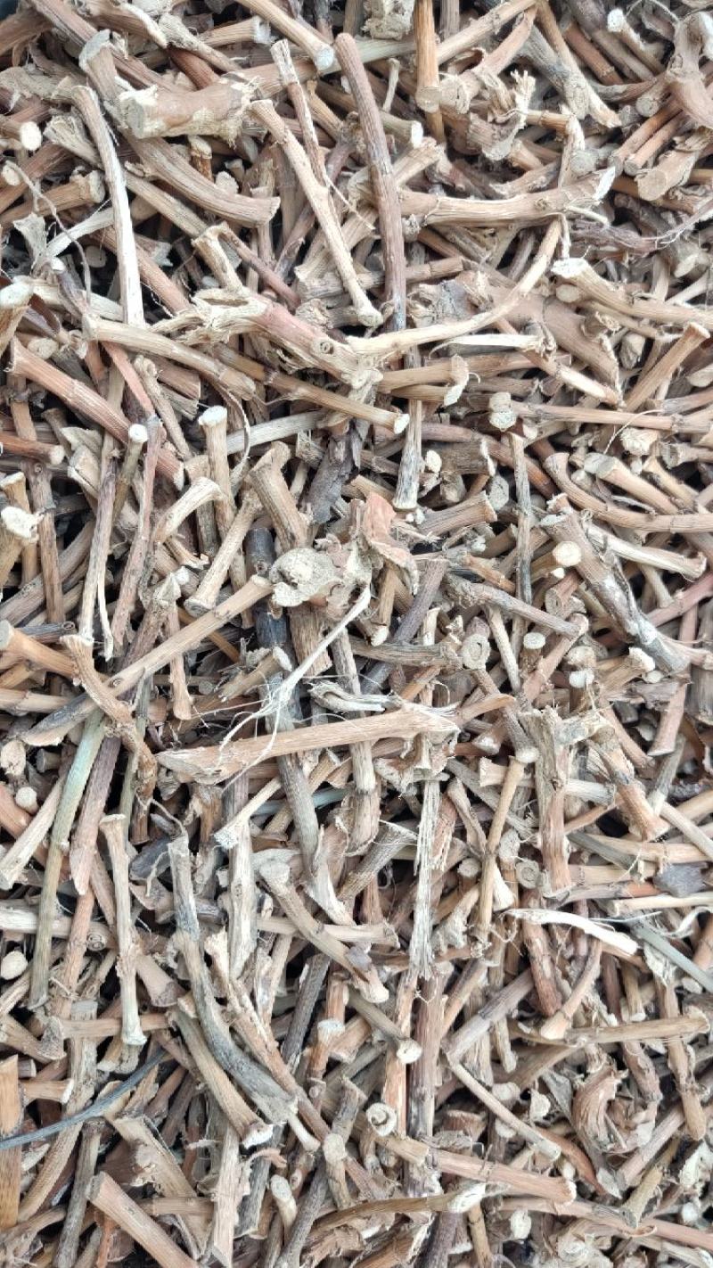 云南文山特级阳春砂仁根
