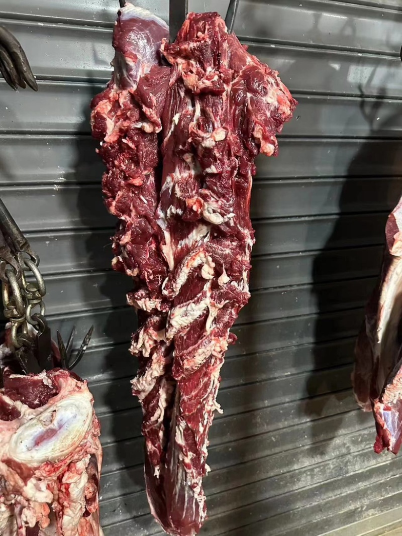 【精品牛肉】重庆厂家直供质量保证规格齐全部位牛肉可选