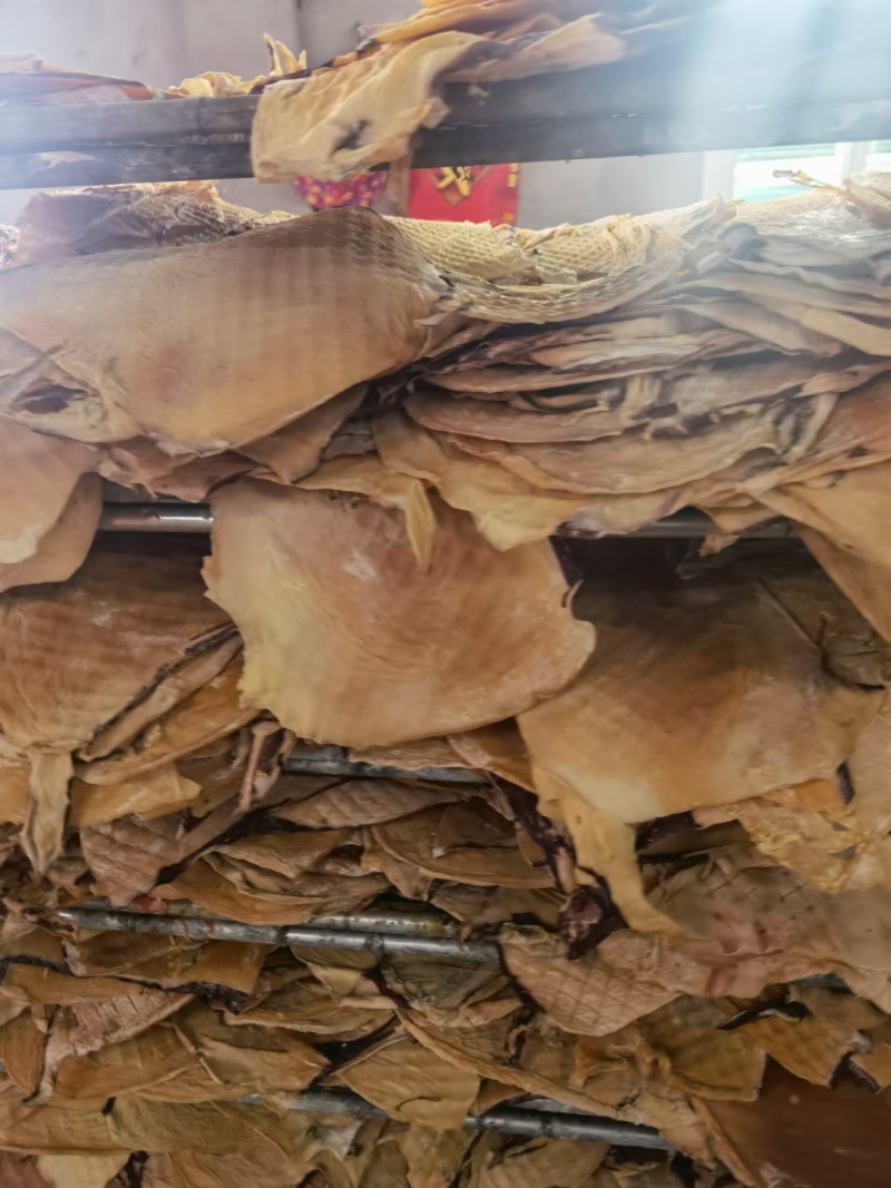 鱿鱼丝，淡干，干度好质量好，大量现货加工，支持定制加工。