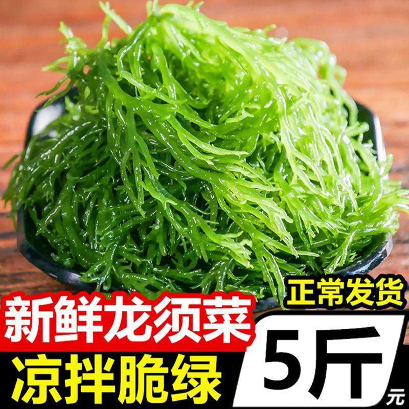 龙须菜凉菜火锅菜5斤/2斤/1斤山东特产凉拌菜头发菜海发