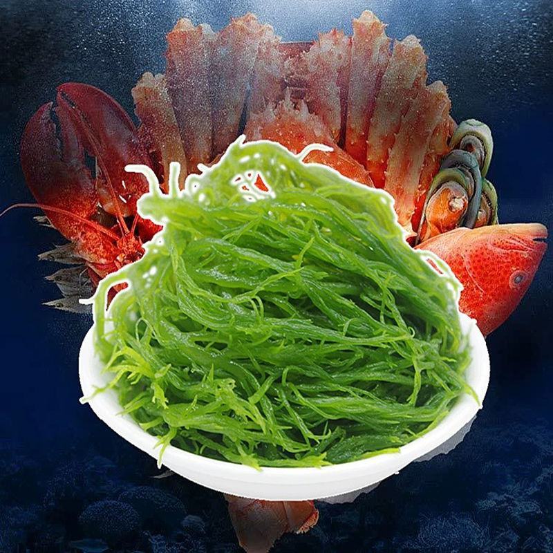 龙须菜凉菜火锅菜5斤/2斤/1斤山东特产凉拌菜头发菜海发