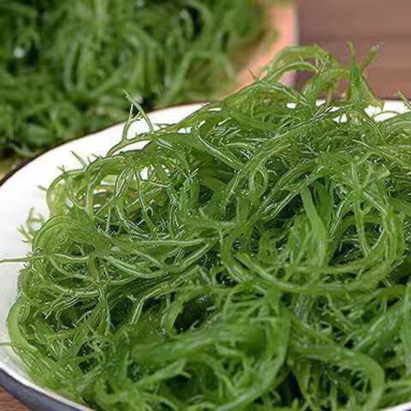 龙须菜凉菜火锅菜5斤/2斤/1斤山东特产凉拌菜头发菜海发