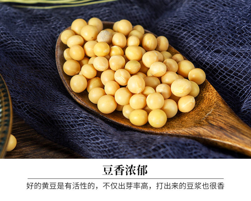 东北黄豆大豆高蛋白含量42+豆浆豆腐竹均可