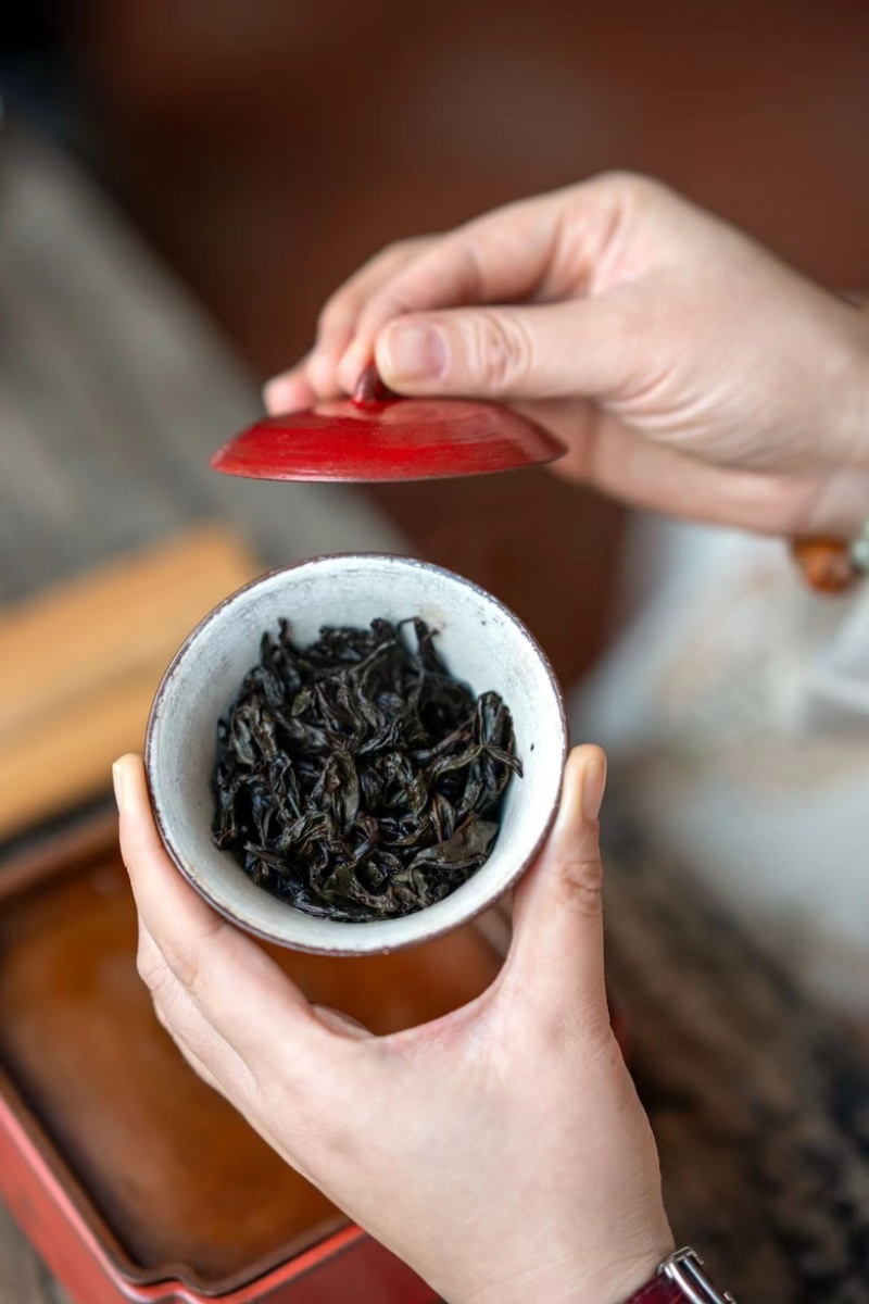 肉桂岩茶九龙窠肉桂250克袋装茶叶年节礼品茶礼盒装茶叶