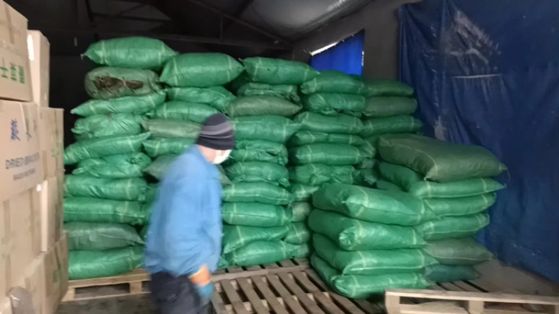干萝卜叶