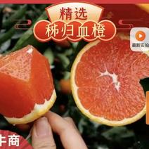中华红血橙，二月红，塔罗科血橙，产地一手货源现看现采果