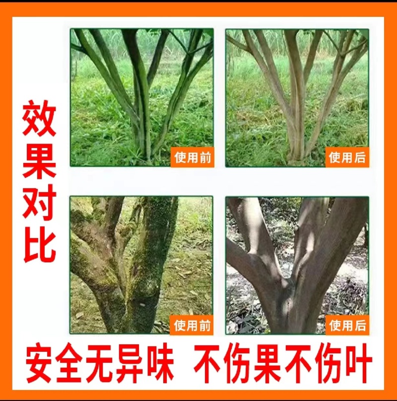 青苔无踪青苔去除剂不伤树干不伤树叶不伤果无刺激性气味