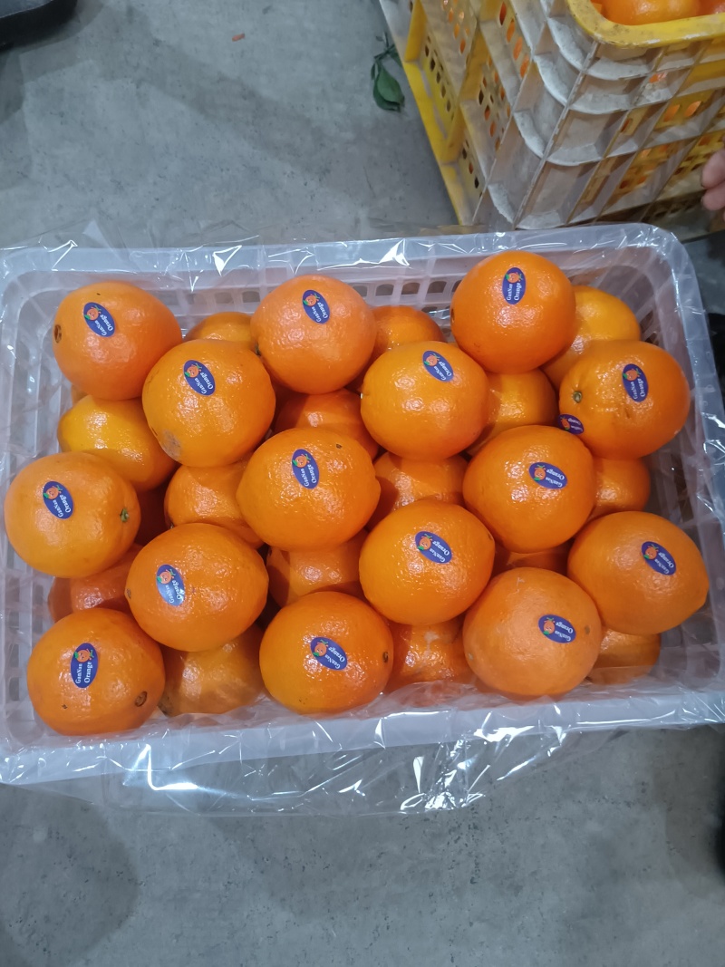 正宗纽荷尔脐橙，加蜜的大量有，口感橙香甜，颜色红，个头大