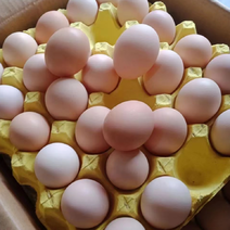 江西粉蛋鸡蛋批发量大从优日产27000个品质保证一手货源